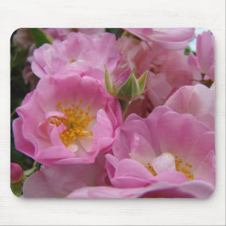 ROSES, ROSE FLOWERS MOUSE PADS MOUSEPAD