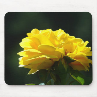 ROSES, ROSE FLOWERS MOUSE PADS MOUSEPAD