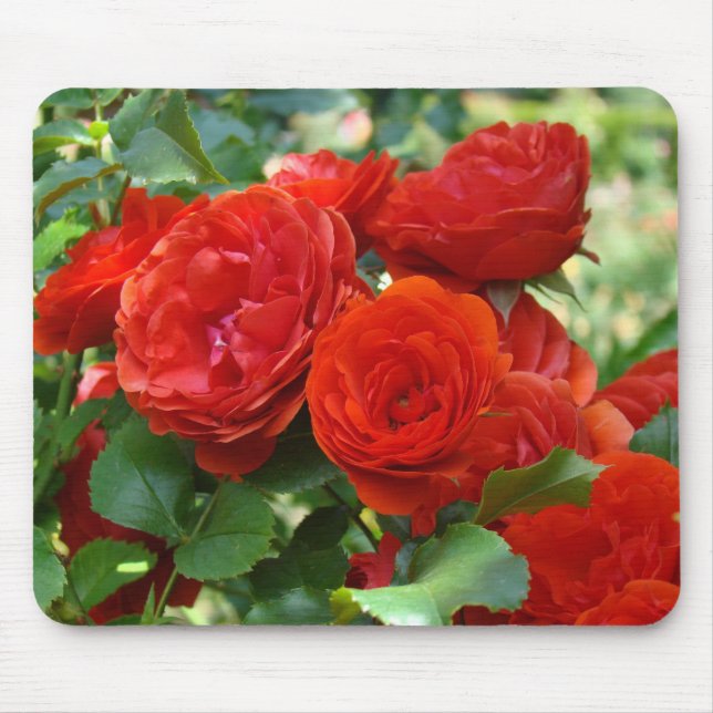 ROSES, ROSE FLOWERS MOUSE PADS MOUSEPAD (Front)
