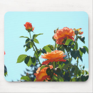 ROSES, ROSE FLOWERS MOUSE PADS MOUSEPAD