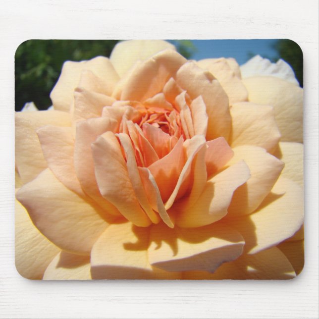 ROSES, ROSE FLOWERS MOUSE PADS MOUSEPAD (Front)