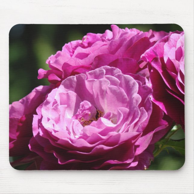 ROSES, ROSE FLOWERS MOUSE PADS MOUSEPAD (Front)