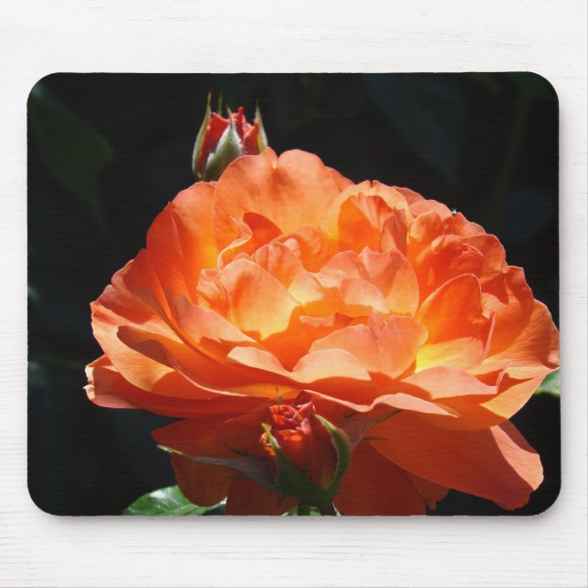 ROSES, ROSE FLOWERS MOUSE PADS MOUSEPAD (Front)