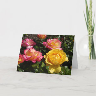 Roses, Roses, Roses! Holiday Card