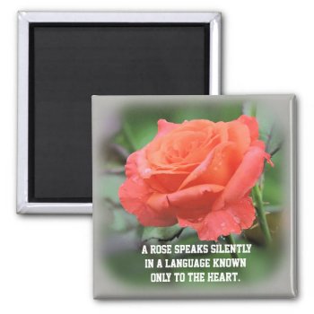 "roses Speak Silently" Single Coral Rose Magnet by randysgrandma at Zazzle