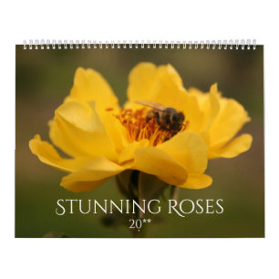 Roses Stunning Photography 2020 Calendar