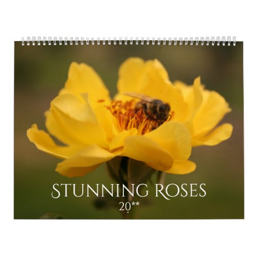 Roses Stunning Photography 2020 Calendar