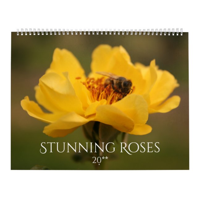 Roses Stunning Photography 2020 Calendar (Cover)