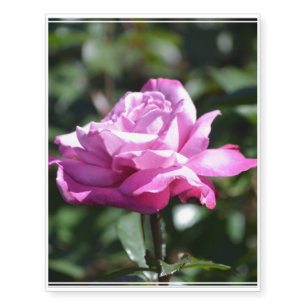 Roses Temporary Tattoos
