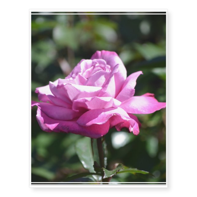 Roses Temporary Tattoos (Front)