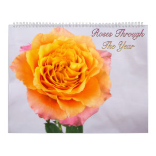 Roses Through The Year Photo Calendar