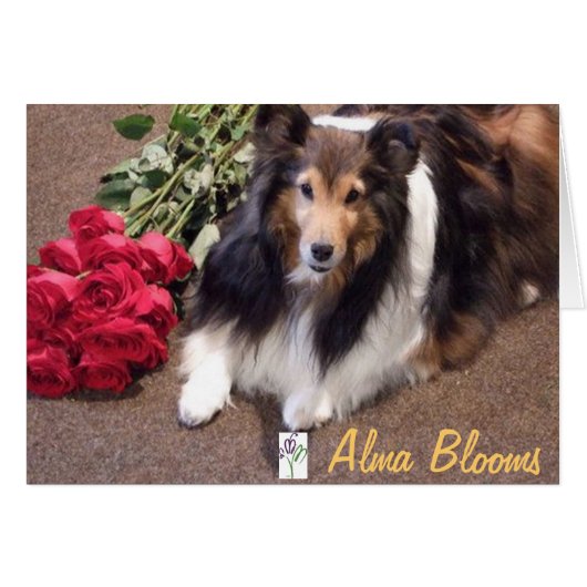 Roses with Logo Cards (Front Horizontal)