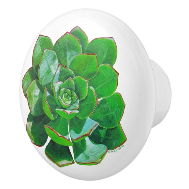 Rosette Succulent Ceramic Knob (Right)