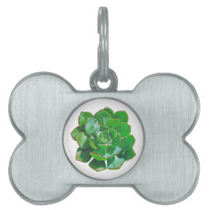 Rosette Succulent Pet Tag