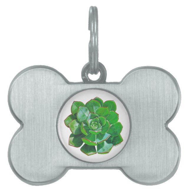 Rosette Succulent Pet Tag (Front)