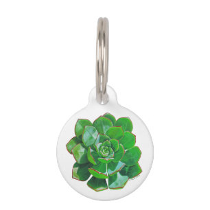 Rosette Succulent Pet Tag
