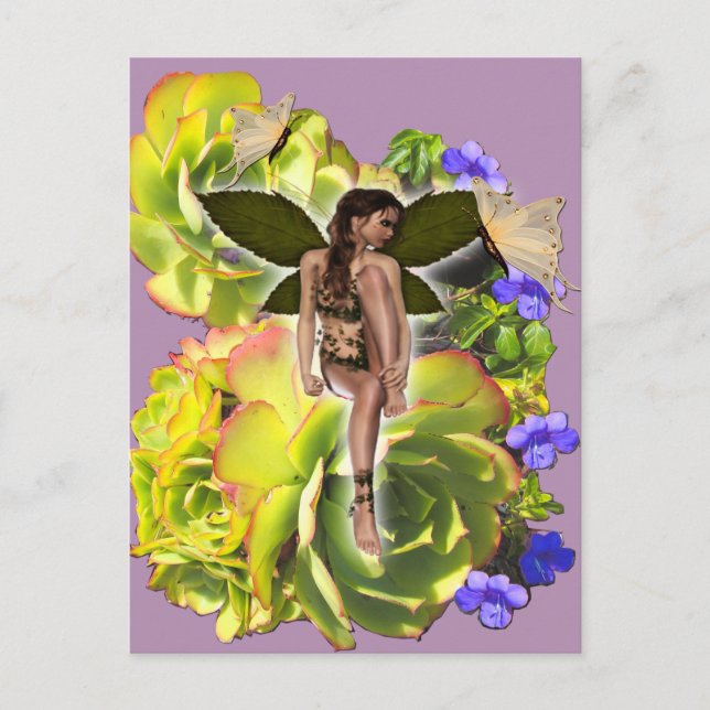 Rosette Succulent visitors Postcard (Front)