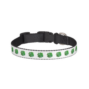 Rosette Succulents Pet Collar