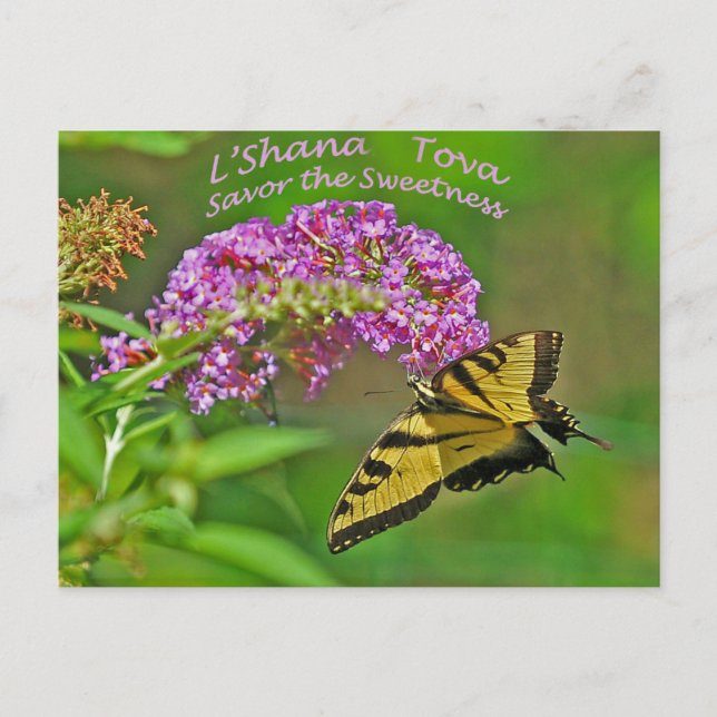 Rosh Hashanah Cards Gifts (Front)
