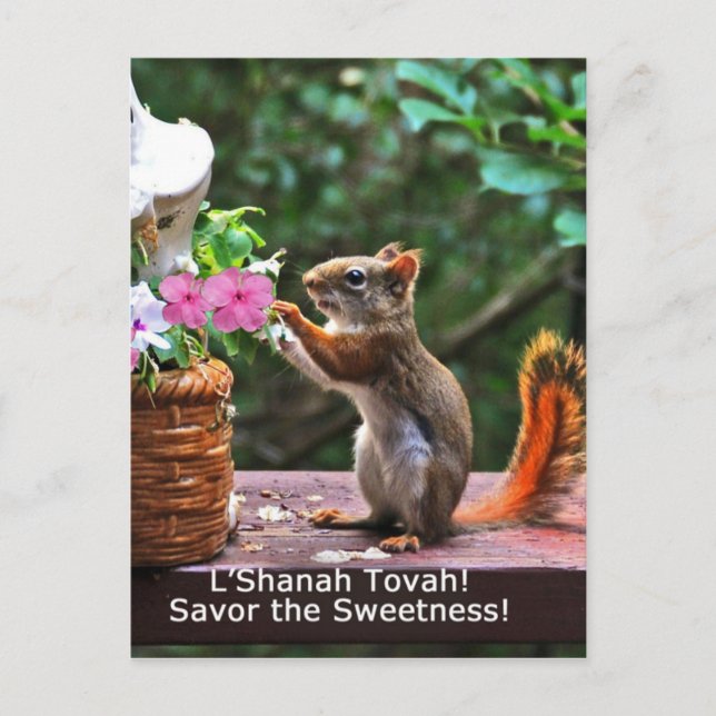 Rosh Hashanah Cards Gifts (Front)