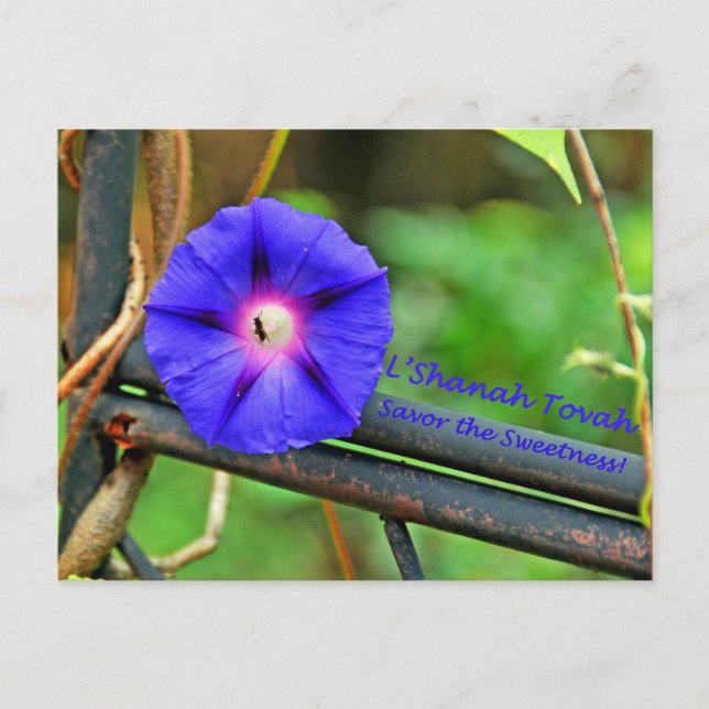 Rosh Hashanah Cards Gifts (Front)