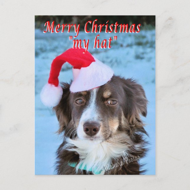 Rosie-CH7-Z - customize Holiday Postcard (Front)