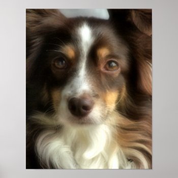 Rosie- Closeup Poster by MakaraPhotos at Zazzle