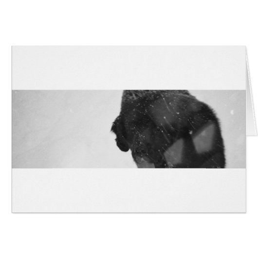rosie . for real . in the snow cards (Front Horizontal)