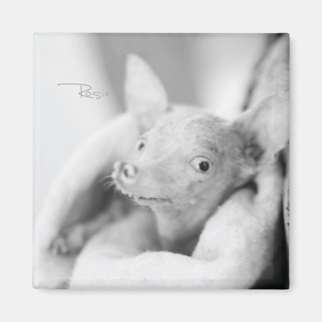 Rosie Photo Magnet (Front)