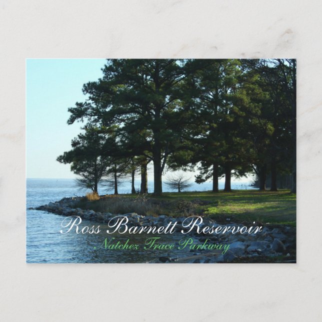 Ross Barnett Reservoir on Natchez Trace Parkway Postcard (Front)