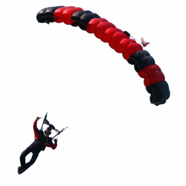 Ross_Canopy_T Statuette (Front)