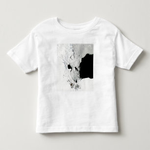 Ross Sea, Antarctica Toddler T-shirt