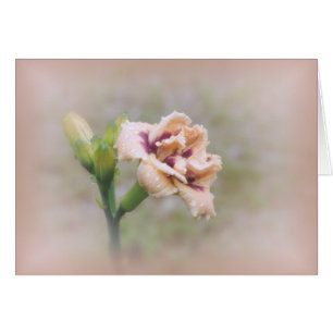 Roswitha Daylily Floral - Pastel Cards