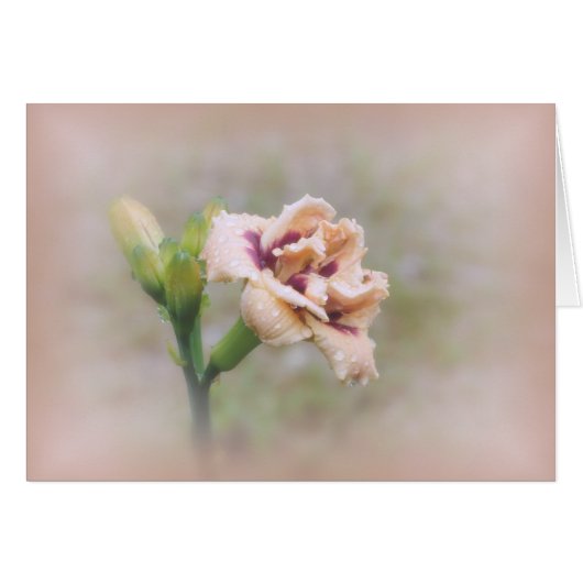 Roswitha Daylily Floral - Pastel Cards (Front Horizontal)