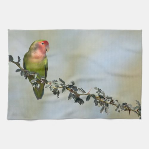 Rosy_ faced love bird on a branch kitchen towel