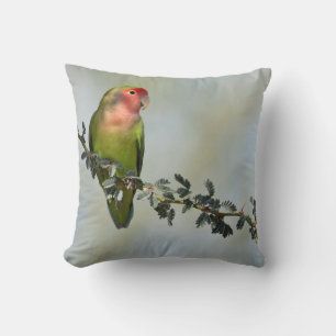 Rosy- faced love bird on a branch throw pillow
