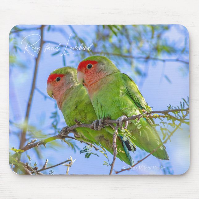 Rosy-faced Lovebird Mouse Pad (Front)
