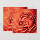 rosy living (Front/Back)
