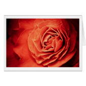 rosy living (Front Horizontal)