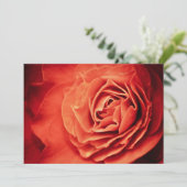 rosy living (Standing Front)