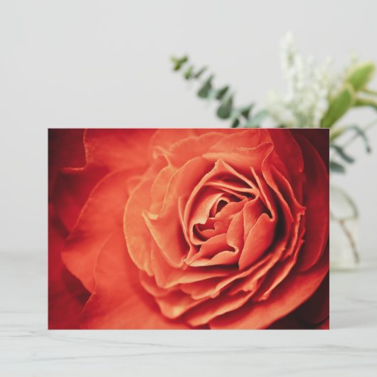 rosy living (Standing Front)