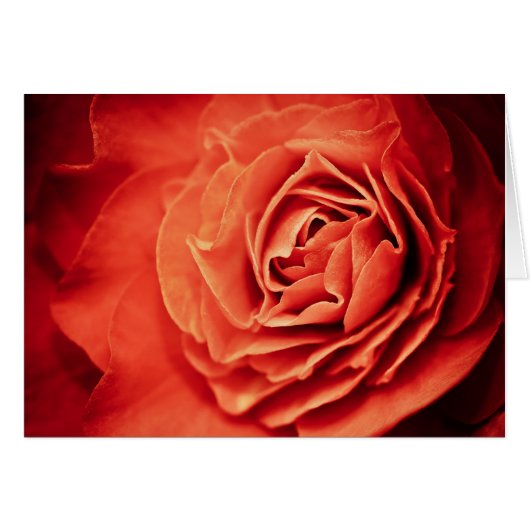 rosy living cards (Front Horizontal)