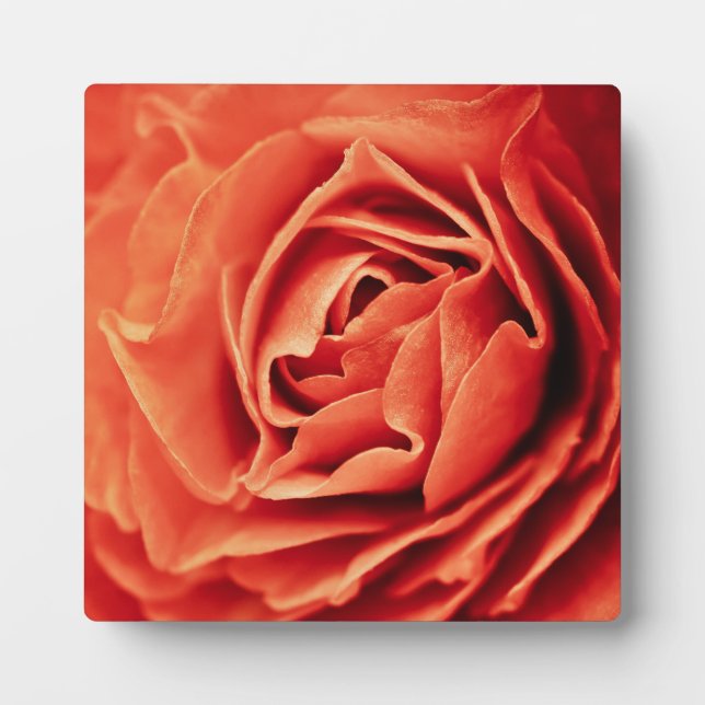 rosy living plaque (Front)