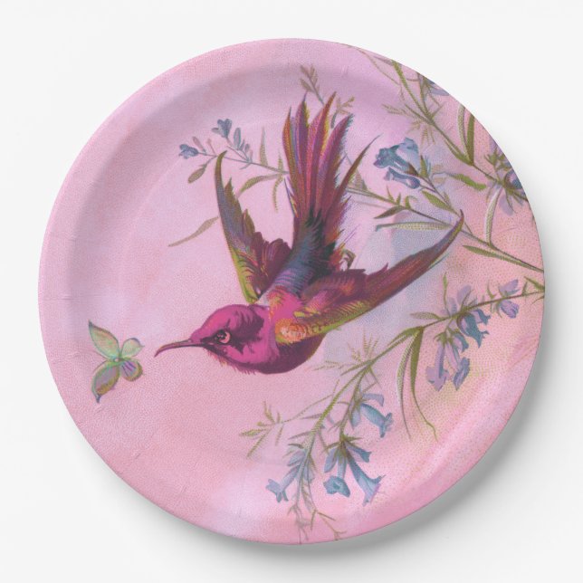 Rosy Red Hummingbird Paper Plates (Front)