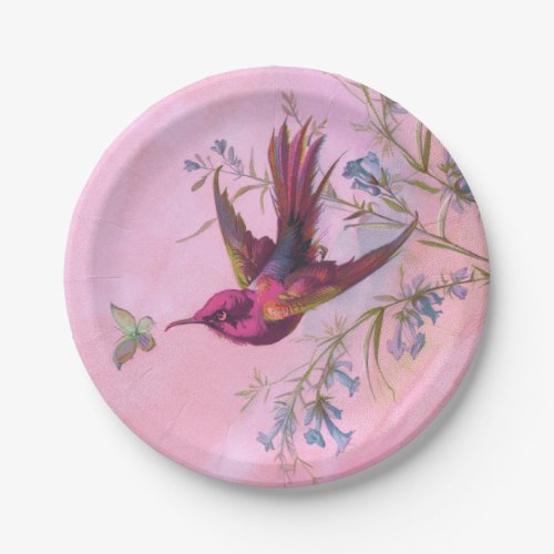 Rosy Red Hummingbird Paper Plates