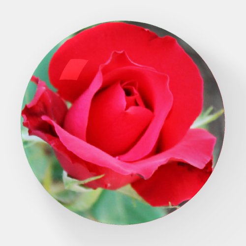 Rosy Red Paperweight