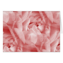 Rosy Rose