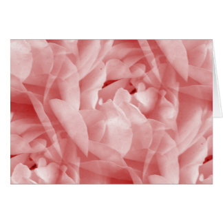Rosy Rose Cards