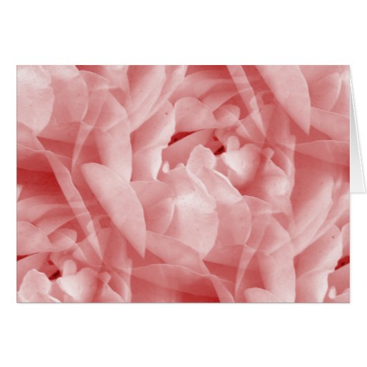 Rosy Rose Cards (Front Horizontal)