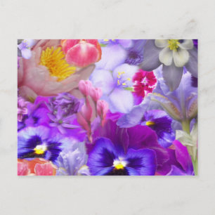 Rotary Garden Postcard